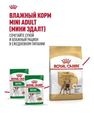 Royal Canin Dry food for dogs breed French bulldog 9 kg - Buy Online on GoSupps.com