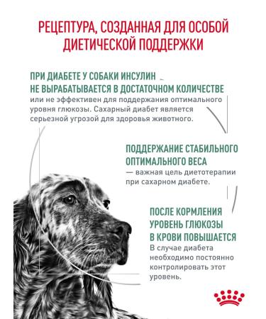 Royal Canin Dry food for dogs for diabetes Diabetic 12 kg - Buy Online on GoSupps.com