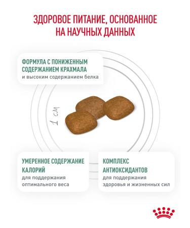 Royal Canin Dry food for dogs for diabetes Diabetic 12 kg - Buy Online on GoSupps.com