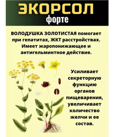 biolite Ekorsol Forte dietary supplement for the liver from opisthorchiasis choleretic - Buy Online on GoSupps.com