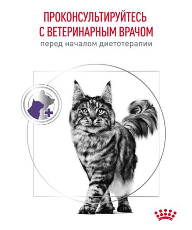 Royal Canin Dry food for sterilized cats Neuthed Satiety 8 kg - Buy Online on GoSupps.com