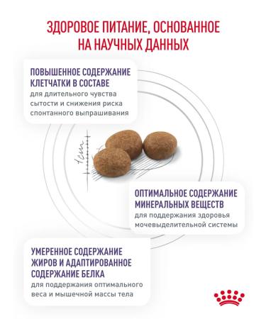 Royal Canin Dry food for sterilized cats Neuthed Satiety 8 kg - Buy Online on GoSupps.com