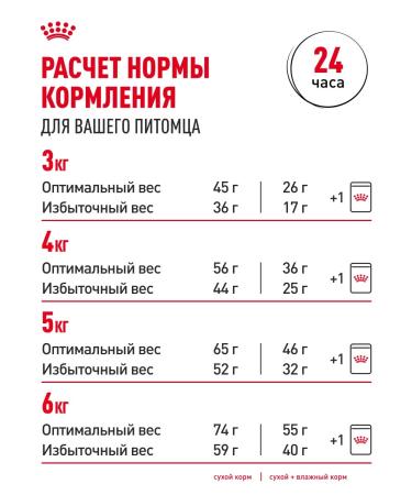 Royal Canin Dry food for cats living in the indoor 27 200 g - Buy Online on GoSupps.com