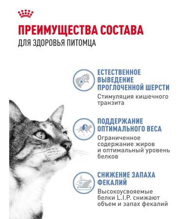 Royal Canin Dry food for cats living in the indoor 27 2 kg - Buy Online on GoSupps.com