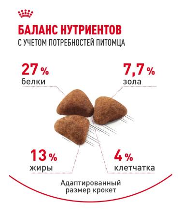 Royal Canin Dry food for cats living in the indoor 27 10 kg - Buy Online on GoSupps.com