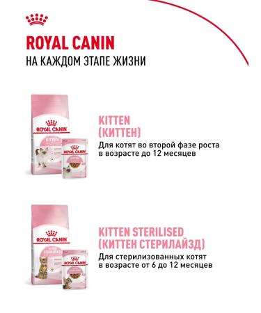 ROYAL CANIN Dry food for nursing and pregnant cats and kittens 400 g - Buy Online on GoSupps.com