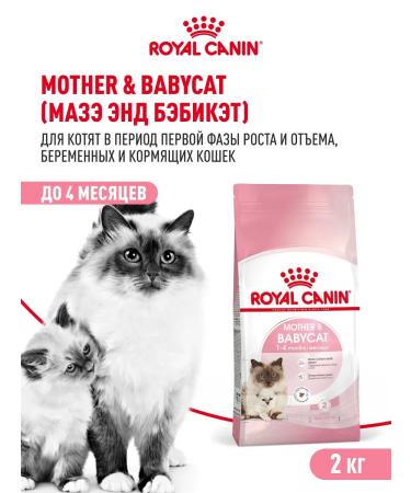 ROYAL CANIN Dry food for kittens Mother & Babycat 2 kg
