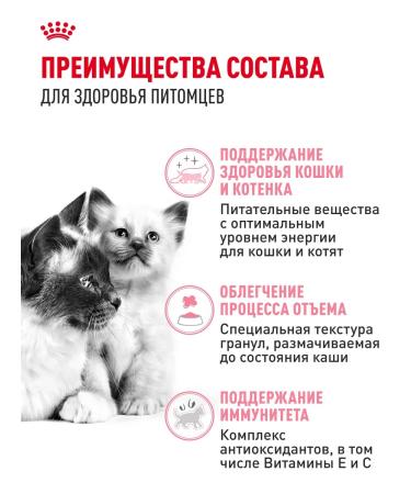 ROYAL CANIN Dry food for kittens Mother & Babycat 2 kg - Buy Online on GoSupps.com