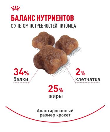 ROYAL CANIN Dry food for kittens Mother & Babycat 2 kg - Buy Online on GoSupps.com