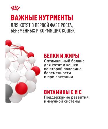 ROYAL CANIN Dry food for kittens Mother & Babycat 2 kg - Buy Online on GoSupps.com