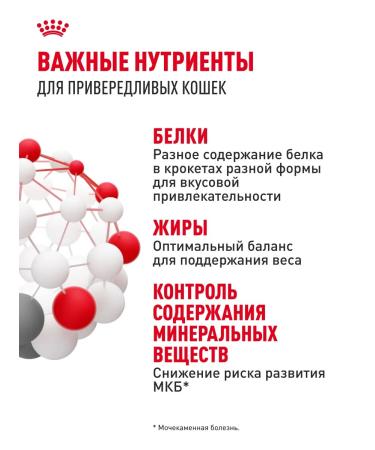 ROYAL CANIN Dry food for fastidious cats Savour Exigent 200 g - Buy Online on GoSupps.com