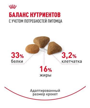 Royal Canin Dry food for fastidious cats Savour Exigent 400 g - Buy Online on GoSupps.com