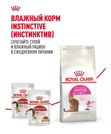 Royal Canin Dry food for fastidious cats Savour Exigent 400 g - Buy Online on GoSupps.com