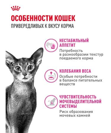 Royal Canin Dry food for fastidious cats Savour Exigent 10 kg - Buy Online on GoSupps.com