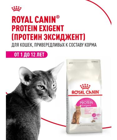 ROYAL CANIN Dry food for fastidious cats Protein Exigent 400 g