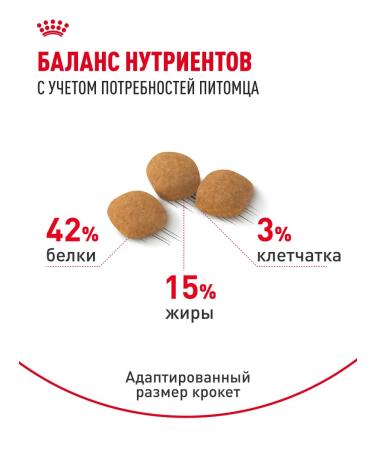 ROYAL CANIN Dry food for fastidious cats Protein Exigent 400 g - Buy Online on GoSupps.com