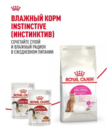 ROYAL CANIN Dry food for fastidious cats Protein Exigent 400 g - Buy Online on GoSupps.com