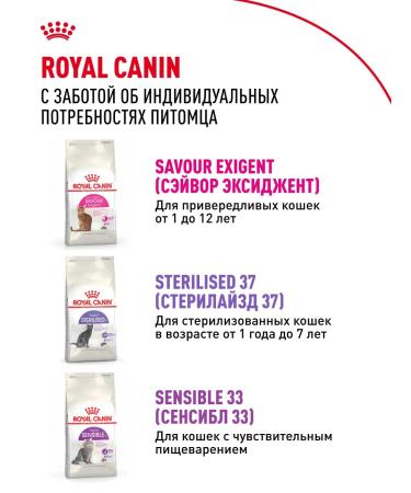 Royal Canin Dry food for fastidious cats Protein Exigent 10 kg - Buy Online on GoSupps.com