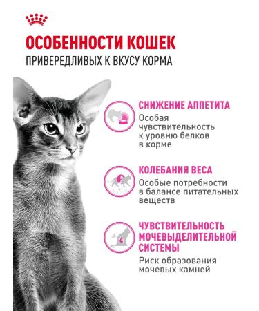 Royal Canin Dry food for fastidious cats Protein Exigent 10 kg - Buy Online on GoSupps.com