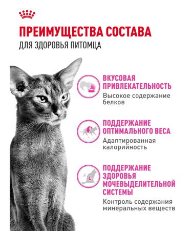 Royal Canin Dry food for fastidious cats Protein Exigent 10 kg - Buy Online on GoSupps.com