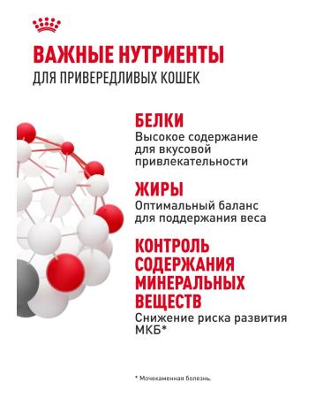 Royal Canin Dry food for fastidious cats Protein Exigent 10 kg - Buy Online on GoSupps.com