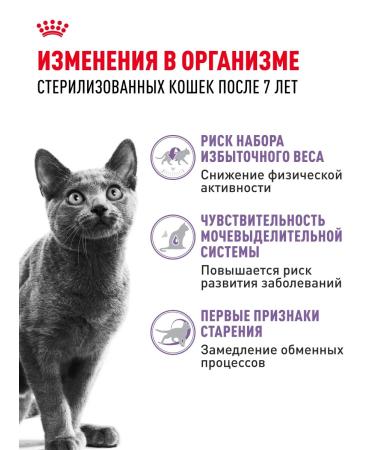 Royal Canin Dry food for sterilized cats Sterilized 7+ 1.5 kg - Buy Online on GoSupps.com