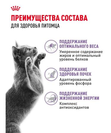 Royal Canin Dry food for sterilized cats Sterilized 7+ 1.5 kg - Buy Online on GoSupps.com