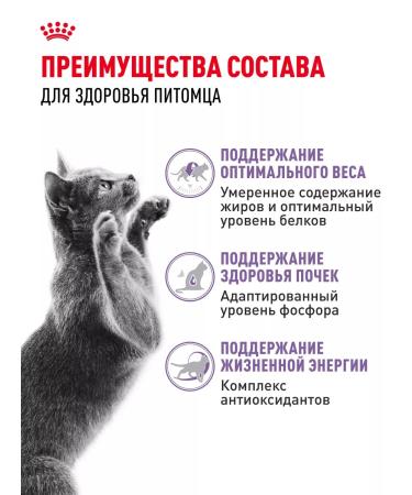 ROYAL CANIN Dry food for sterilized cats Sterilized 7+ 3.5 kg - Buy Online on GoSupps.com