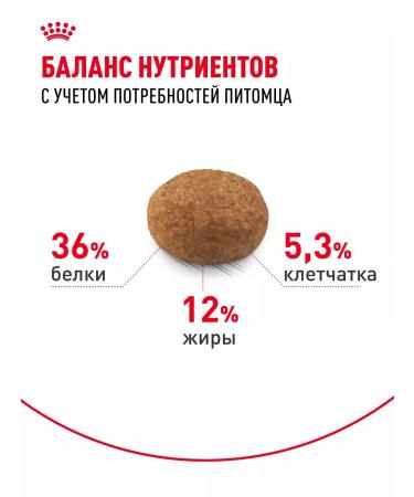 ROYAL CANIN Dry food for sterilized cats Sterilized 7+ 3.5 kg - Buy Online on GoSupps.com