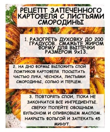 Tree of Love Currant leaf - Buy Online on GoSupps.com