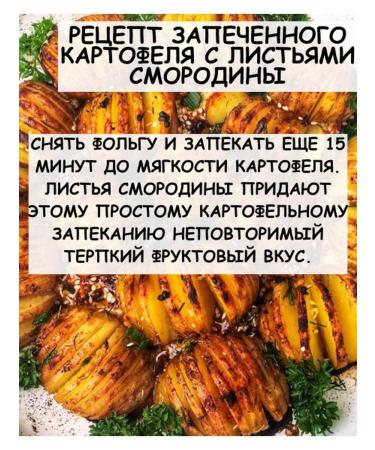 Tree of Love Currant leaf - Buy Online on GoSupps.com