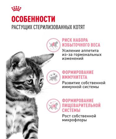 ROYAL CANIN Dry food for sterilized kittens Sterilized Kitten 400 g - Buy Online on GoSupps.com