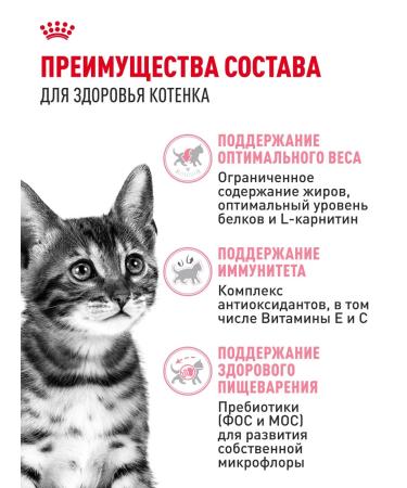 ROYAL CANIN Dry food for sterilized kittens Sterilated Kitten 2 kg - Buy Online on GoSupps.com