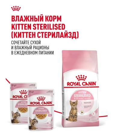 ROYAL CANIN Dry food for sterilized kittens Sterilated Kitten 2 kg - Buy Online on GoSupps.com