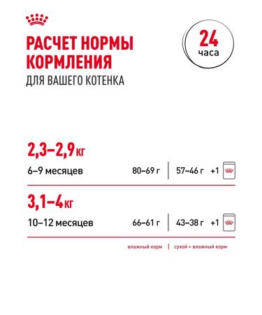 ROYAL CANIN Dry food for sterilized kittens Sterilated Kitten 2 kg - Buy Online on GoSupps.com