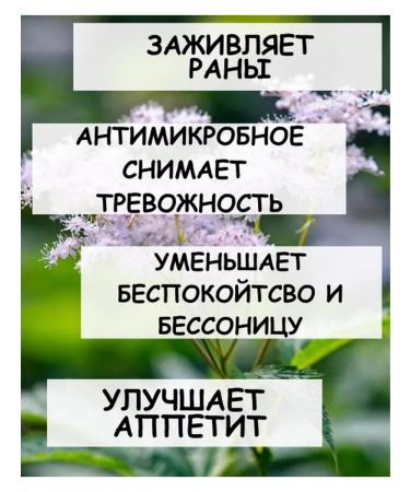 Tree of Love Labaznik grass - Buy Online on GoSupps.com