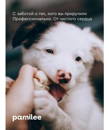 Pamilee Shampoo for puppies and kittens hypoallergenic professional - Buy Online on GoSupps.com