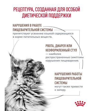 Royal Canin Dry food for cats GastroinTestinal Fiber Response 2 kg - Buy Online on GoSupps.com