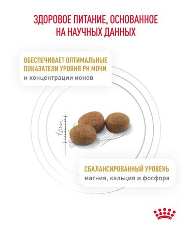 Royal Canin Dry food for cats Urinary S o therapeutic 7 kg - Buy Online on GoSupps.com