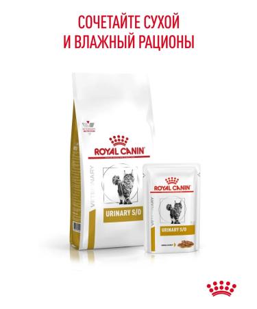 Royal Canin Dry food for cats Urinary S o therapeutic 7 kg - Buy Online on GoSupps.com