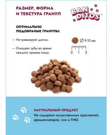 Banditos Dry food for puppies with chicken and beef 2 kg - Buy Online on GoSupps.com