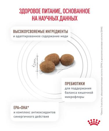 ROYAL CANIN Dry food for cats for hepatic liver 2 kg - Buy Online on GoSupps.com