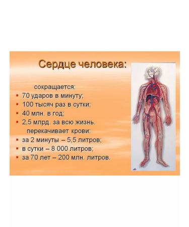 Dr Arsenin Cardio dietary supplement for the health of the heart and blood vessels from the pressure of NIIN - Buy Online on GoSupps.com