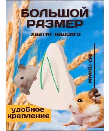 SVIBIK Fruit-and-free food for rats 600g+ treat+ gift - Buy Online on GoSupps.com