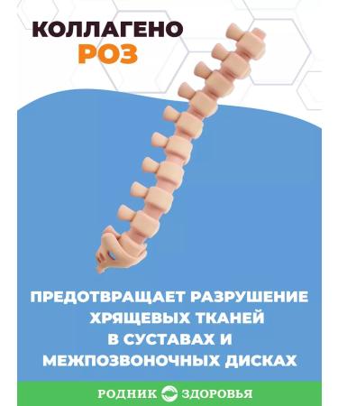 Spring of Health Collagenorosis collagen for joints and bones - Buy Online on GoSupps.com