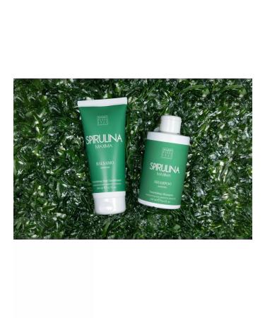 Mario Fissi 1937 Hair conditioner with spirulina extract 200 ml - Buy Online on GoSupps.com