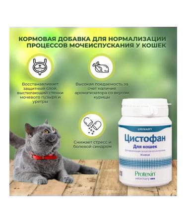 Protein Cystophan for cats 30 capsules - Buy Online on GoSupps.com