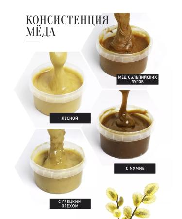 The Good Beekeeper Gift honey set "Male" 8 to 300 g - Buy Online on GoSupps.com