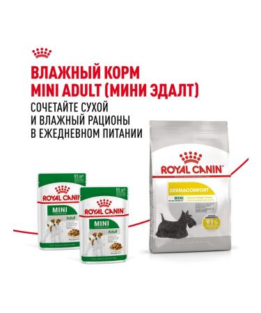 ROYAL CANIN Dry Mini Dermacomfort for small dogs 3 kg 2 pcs - Buy Online on GoSupps.com