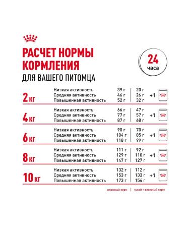 ROYAL CANIN Dry Mini Dermacomfort for small dogs 3 kg 2 pcs - Buy Online on GoSupps.com